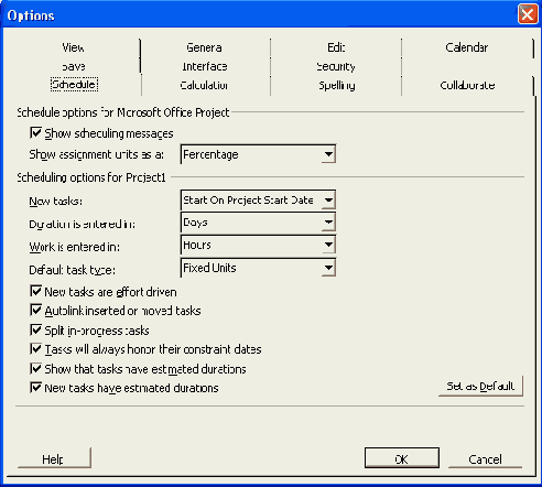 Microsoft Project 2003  
