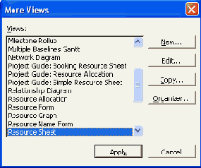Microsoft Project 2003  
