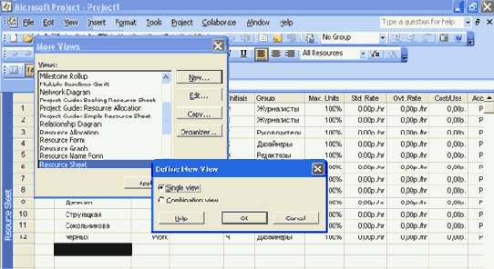 Microsoft Project 2003  
