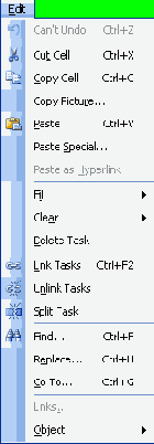 Microsoft Project 2003  
