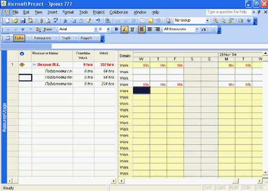 Microsoft Project 2003  
