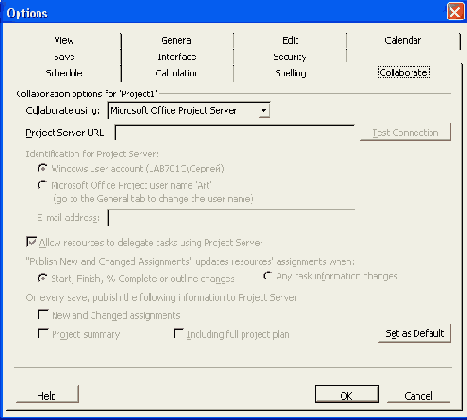Project 2003 для менеджеров