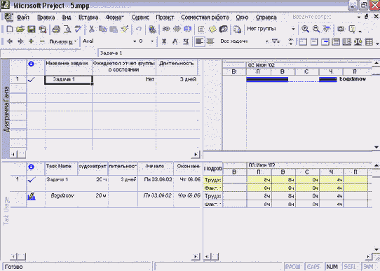 Microsoft Project - 
