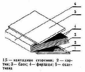  36