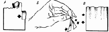     ; 