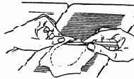  43